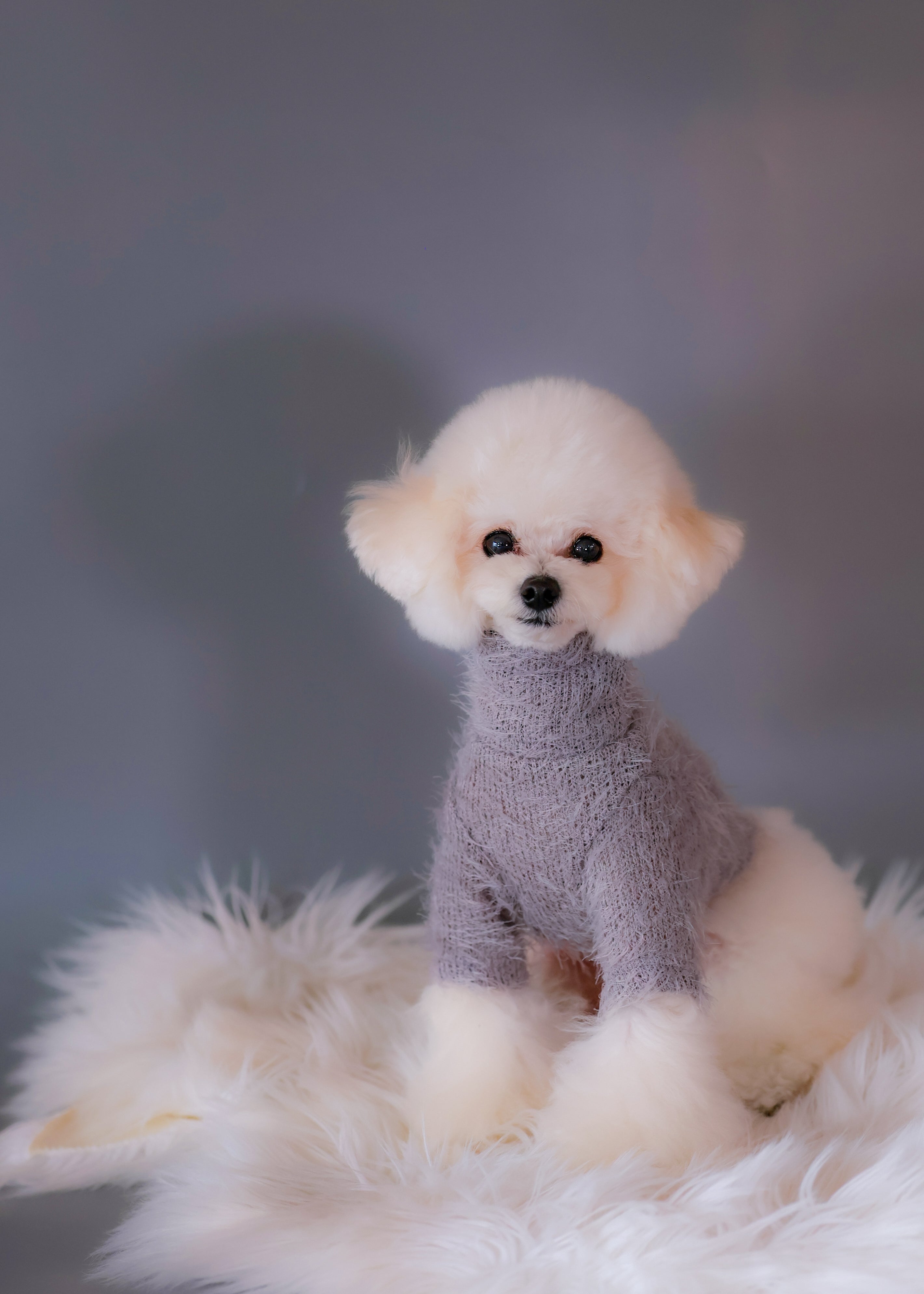 Shaggy High-Neck Knit