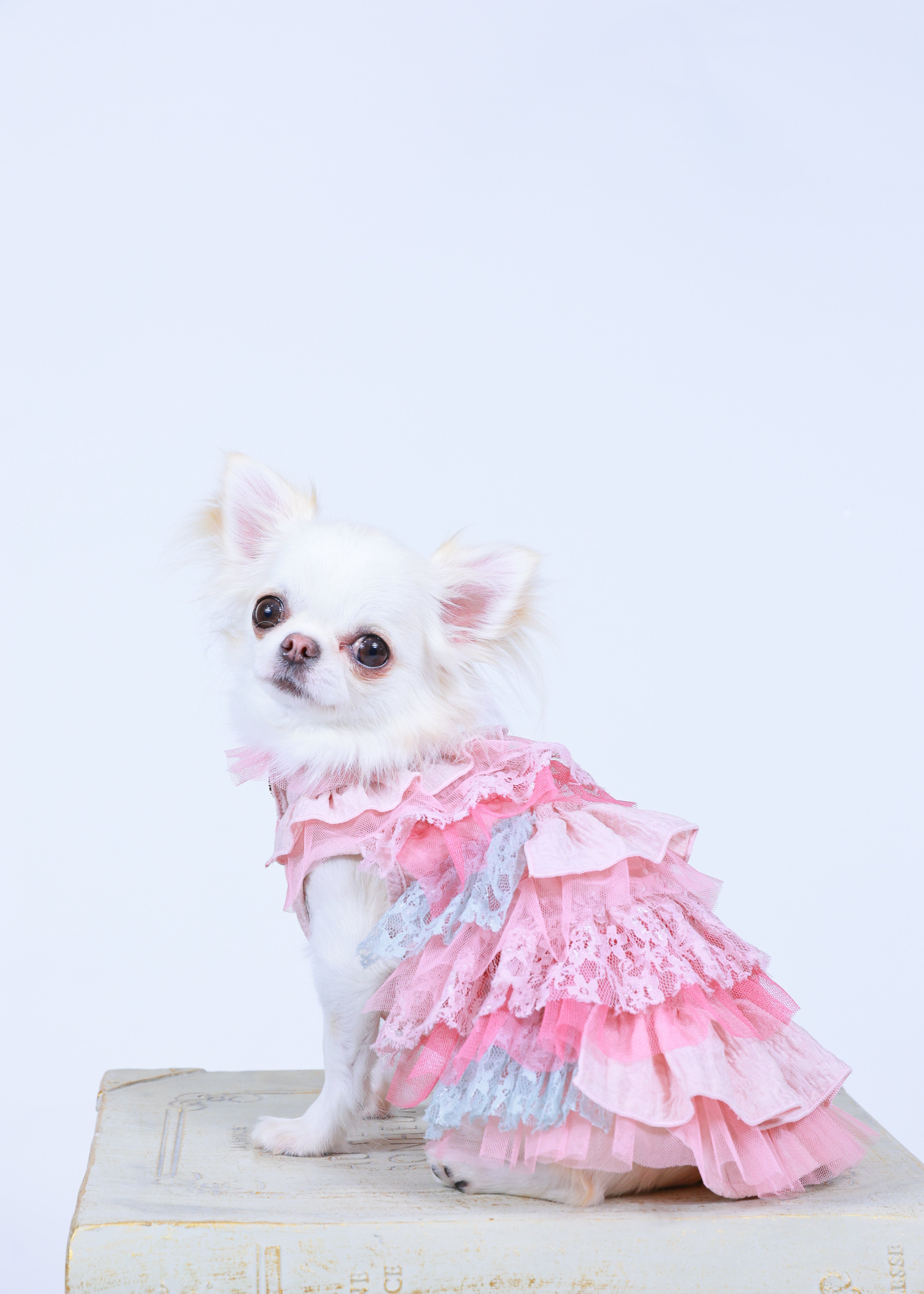 RANDOM RUFFLE DRESS PINK