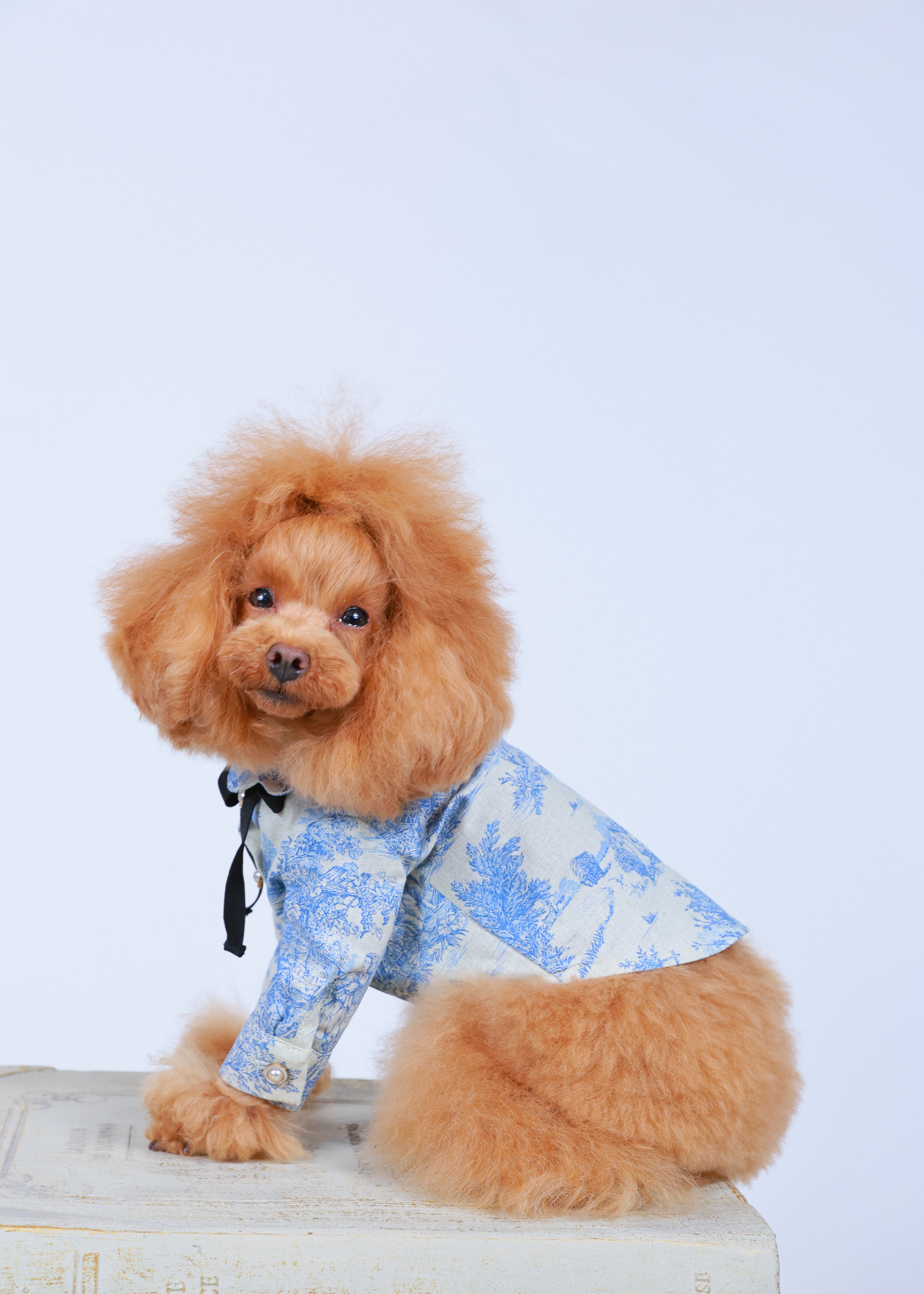 TOILE DE JOUY SHIRT