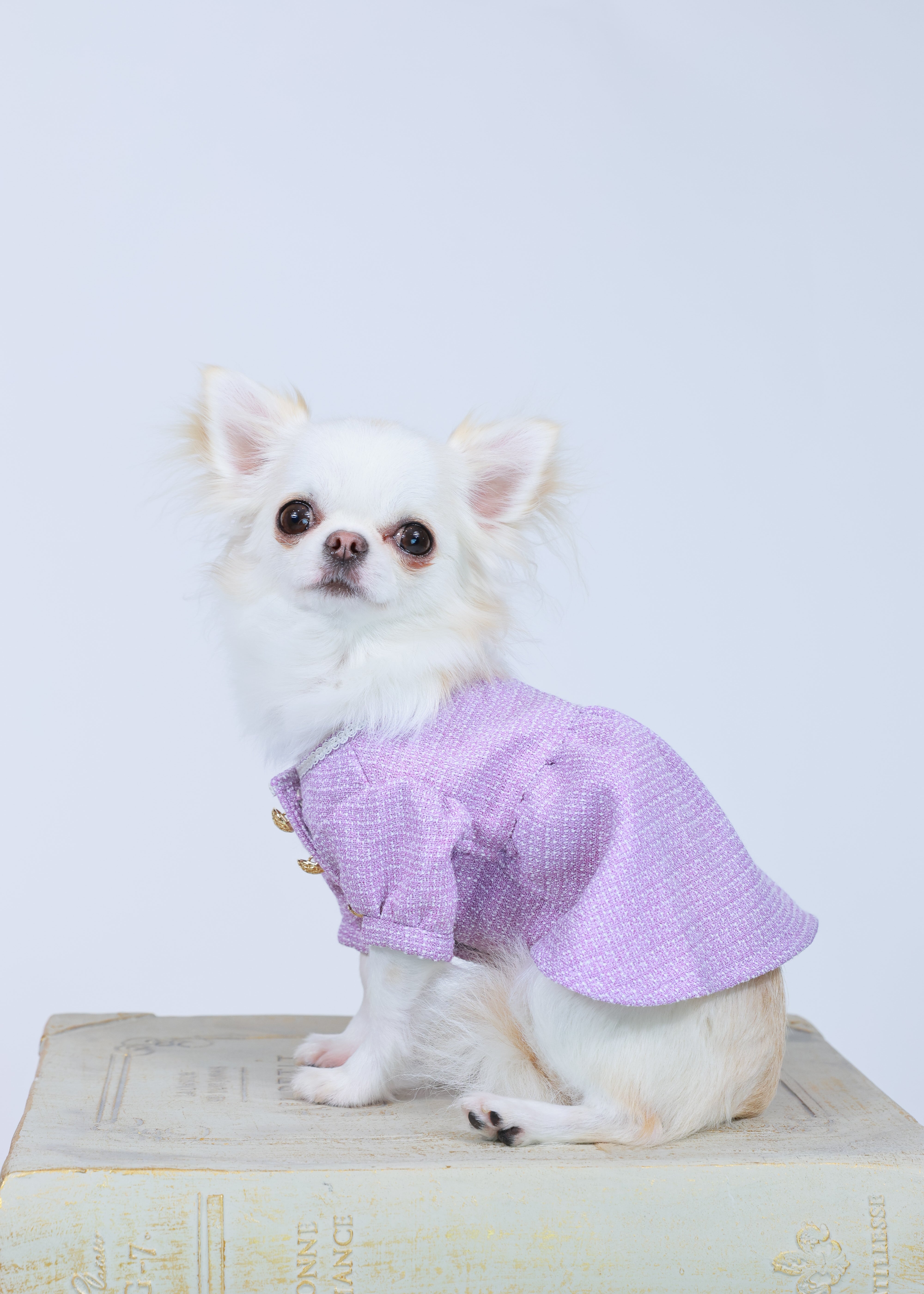 TWEED DRESS