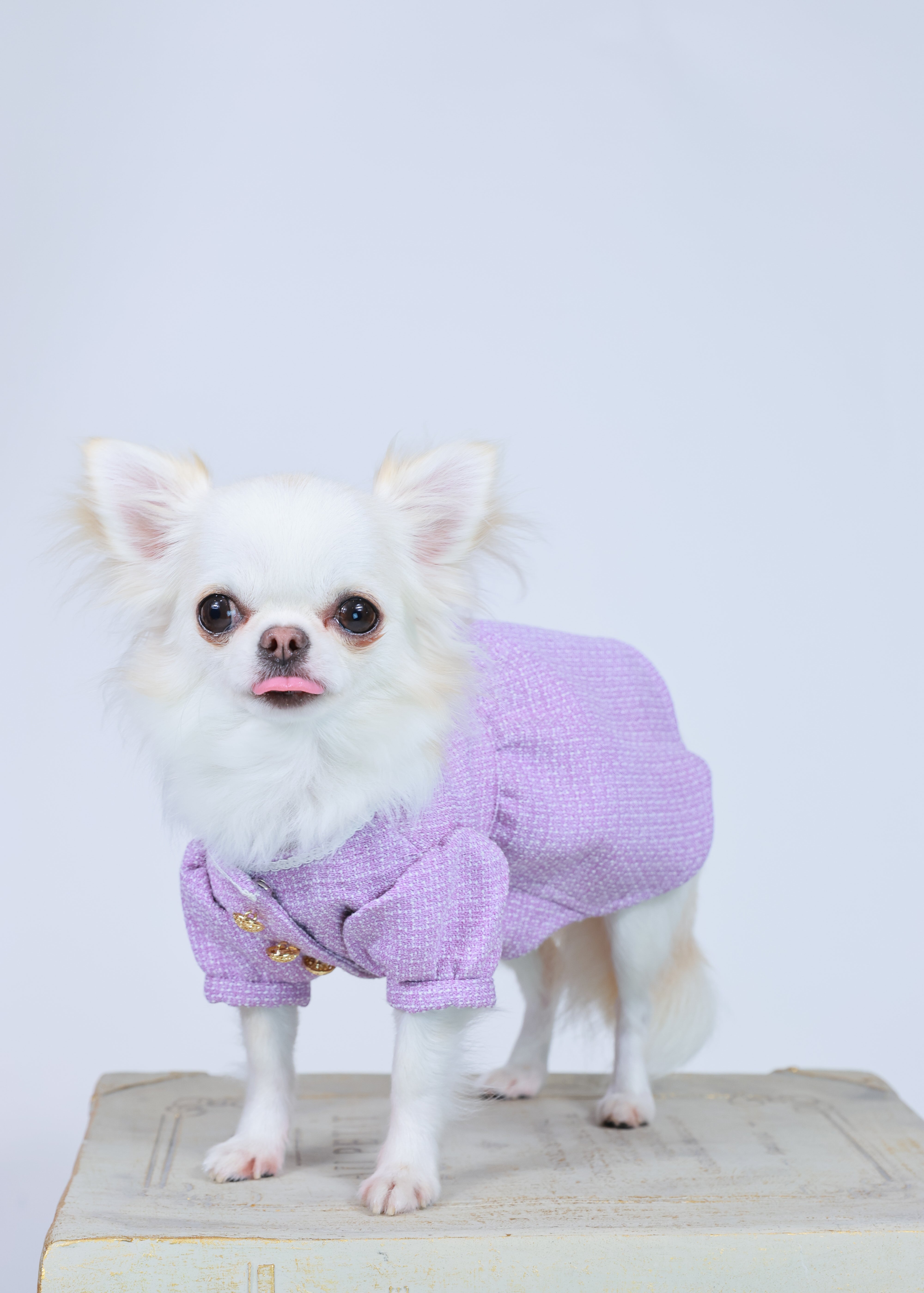 TWEED DRESS