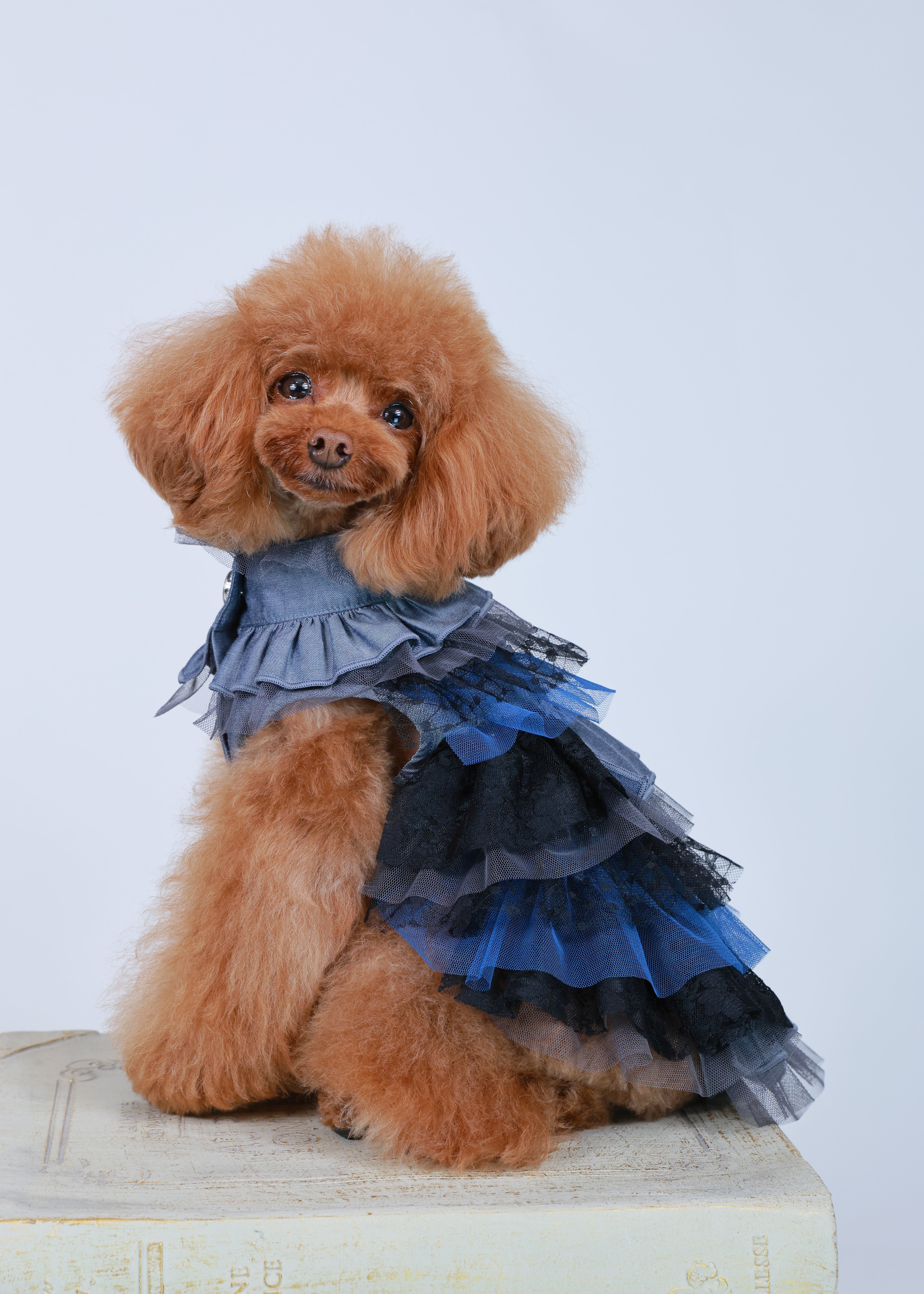 RANDOM RUFFLE DRESS BLUE