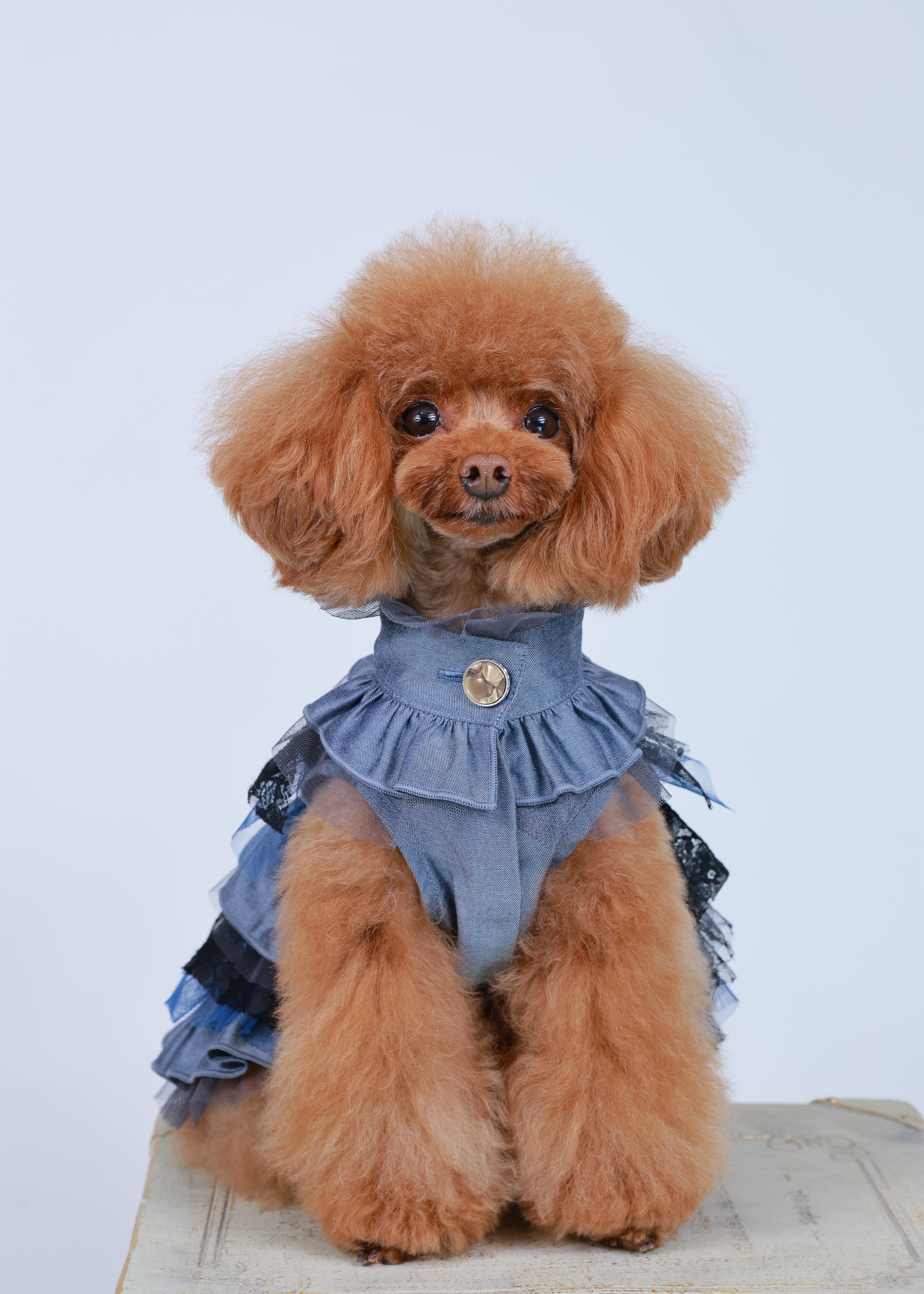 RANDOM RUFFLE DRESS BLUE