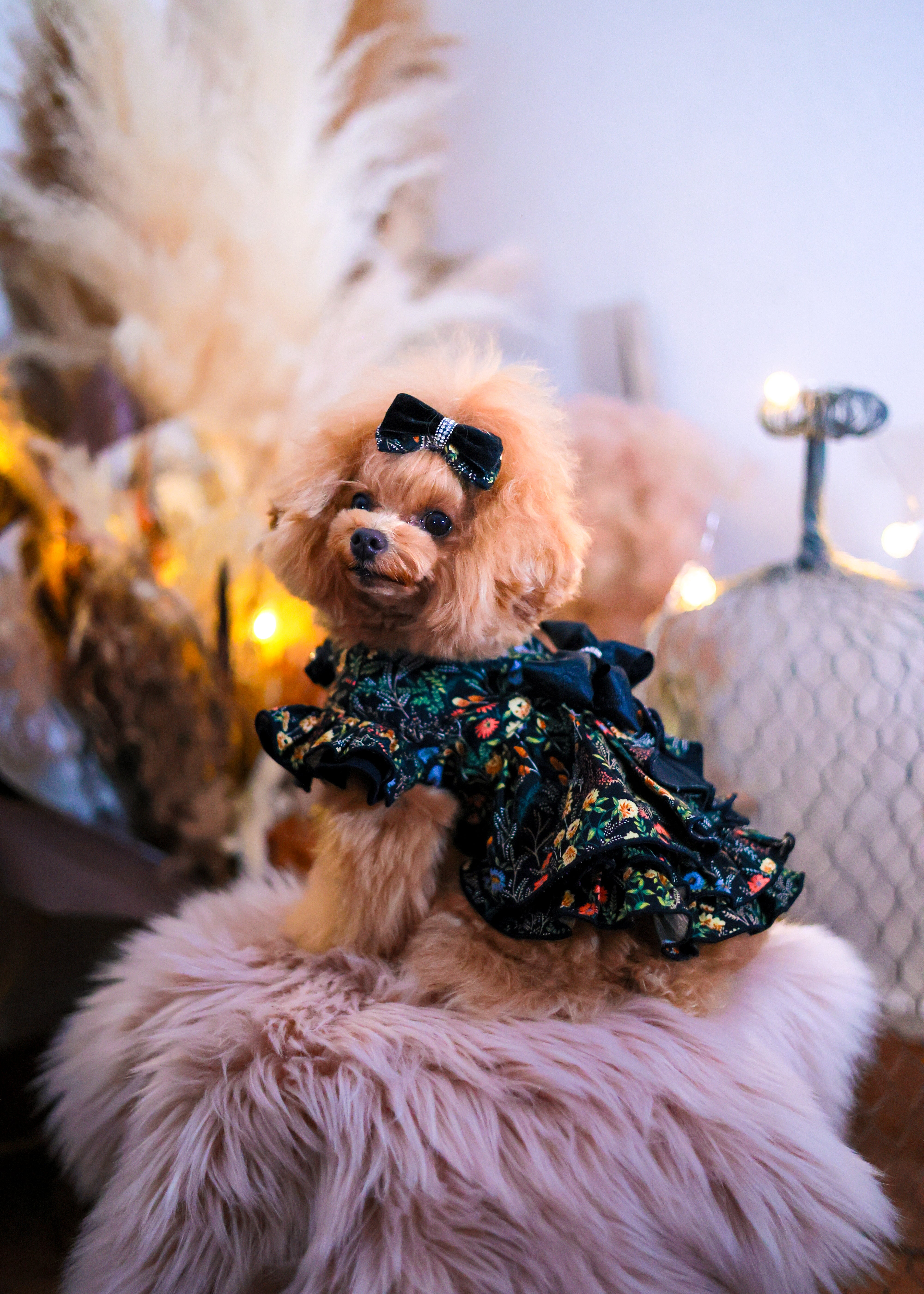 Whispering Bloom Tops & Dress