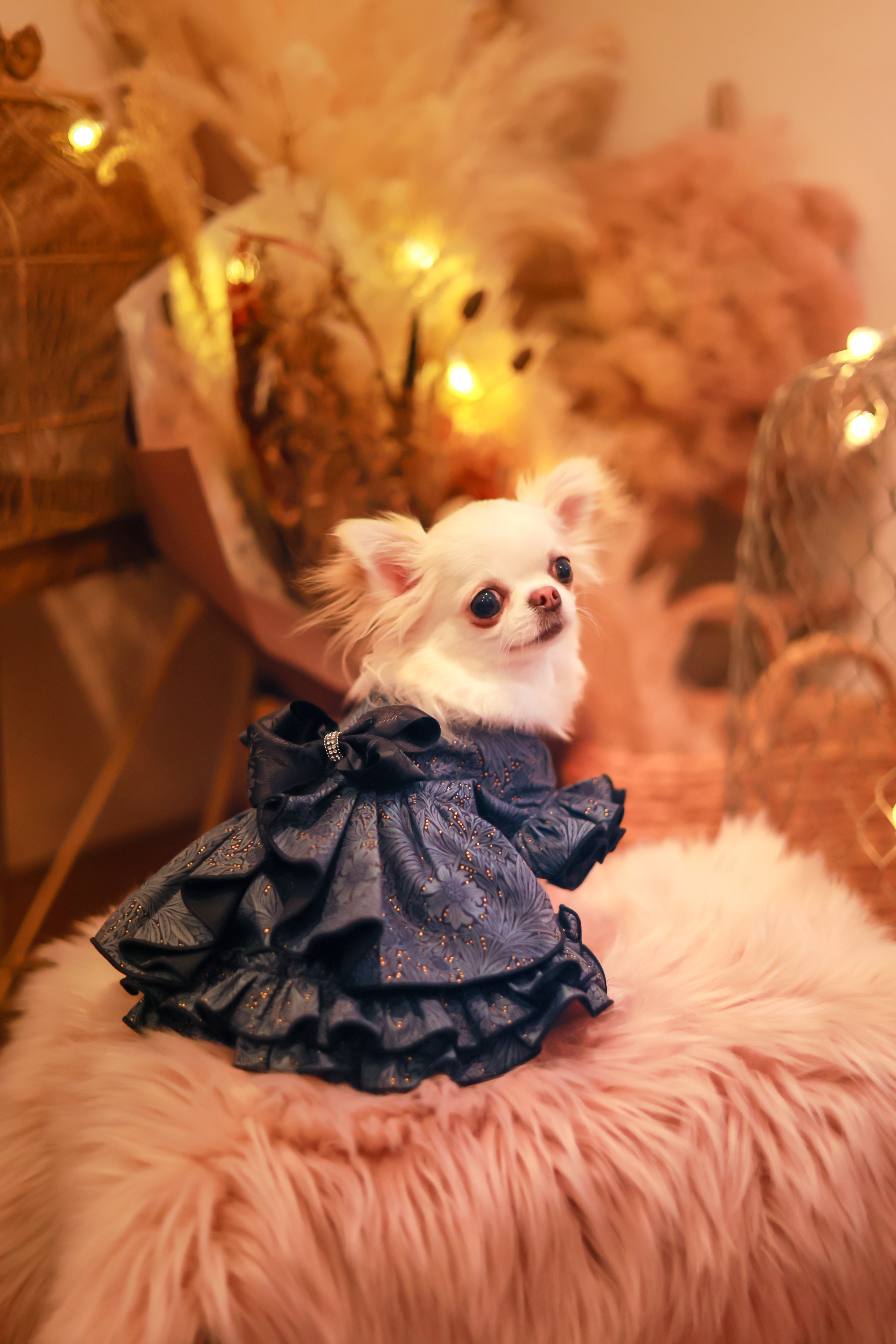 Nocturne Tops & Dress 【BLUE】