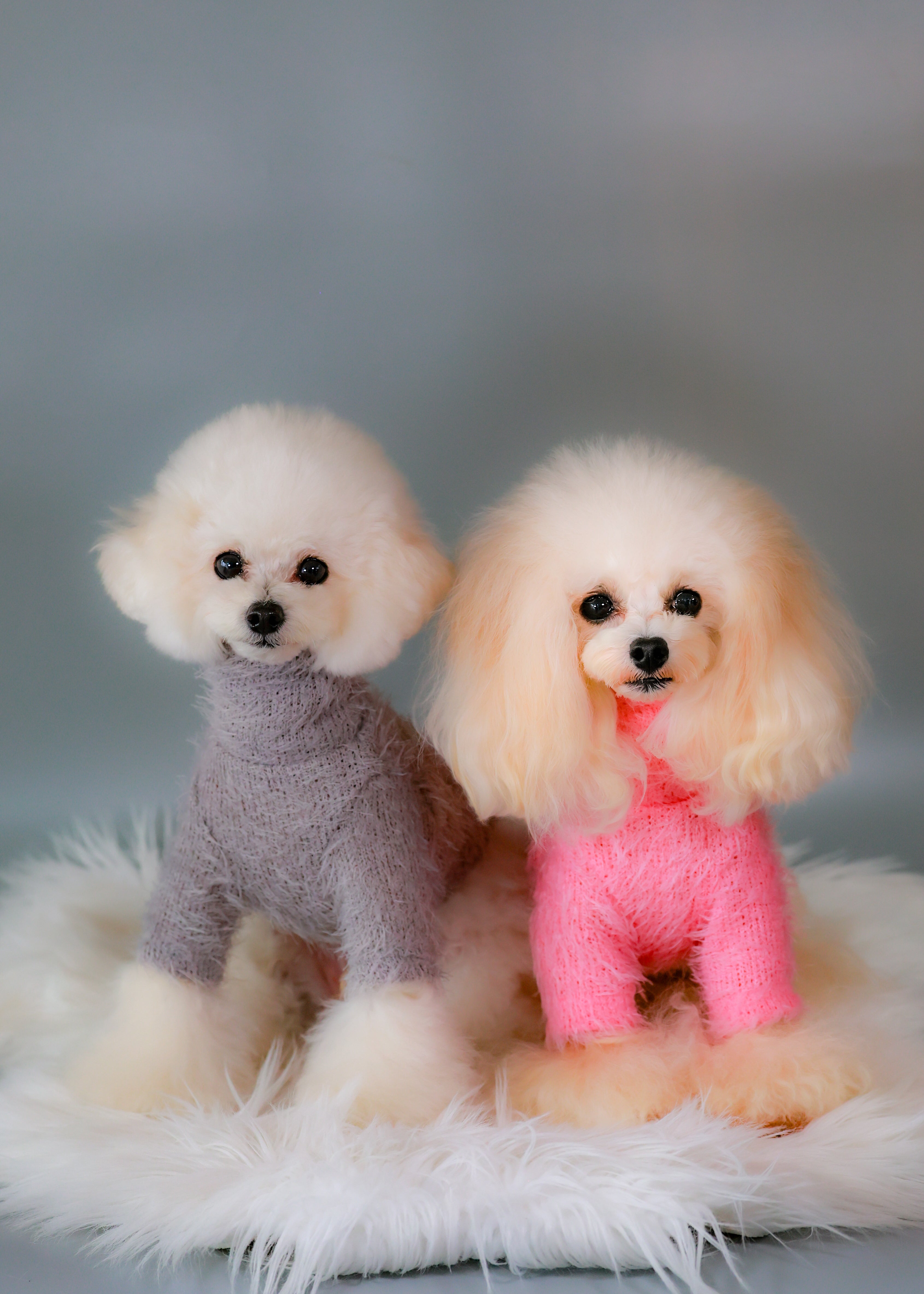 Shaggy High-Neck Knit