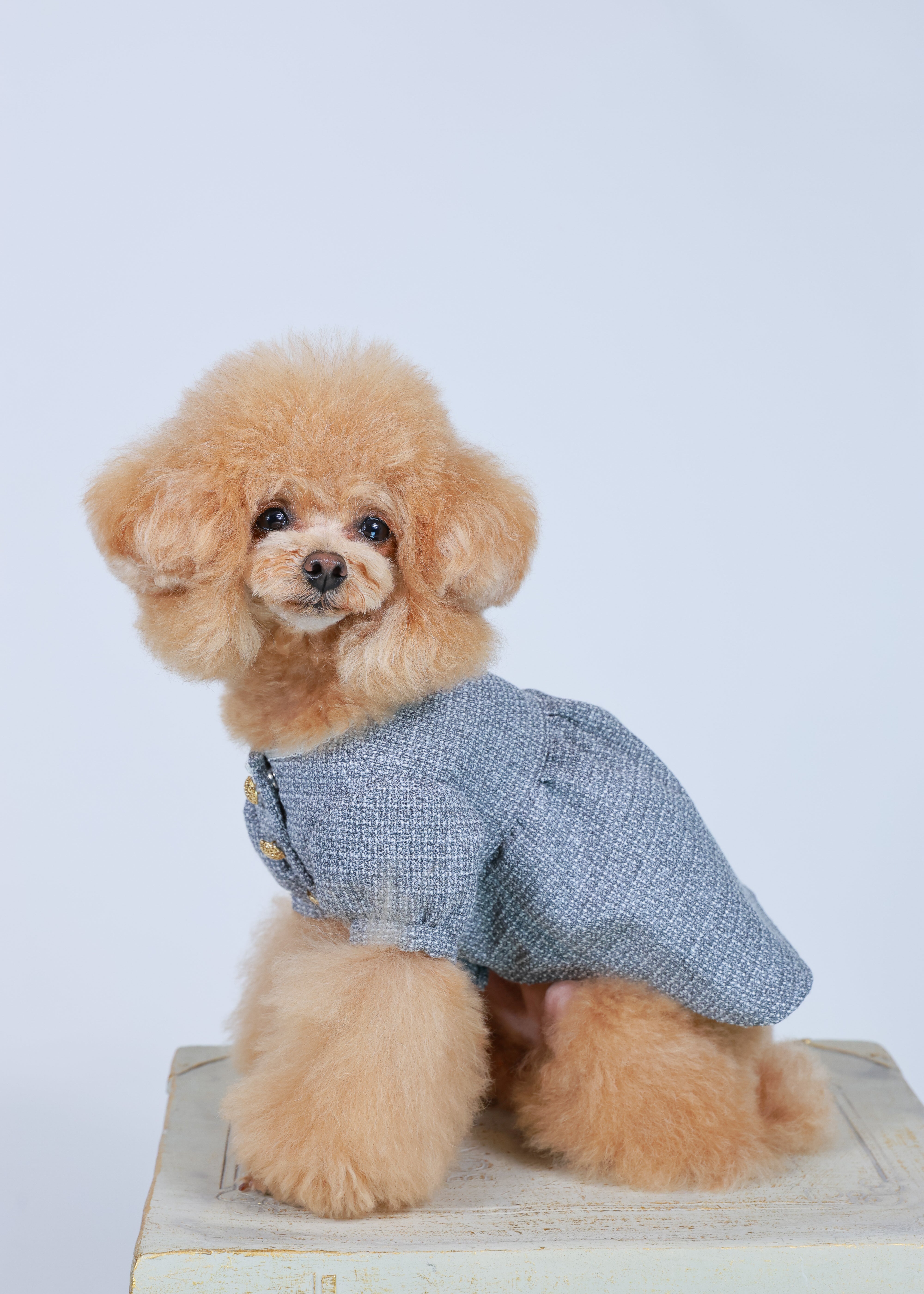 TWEED DRESS