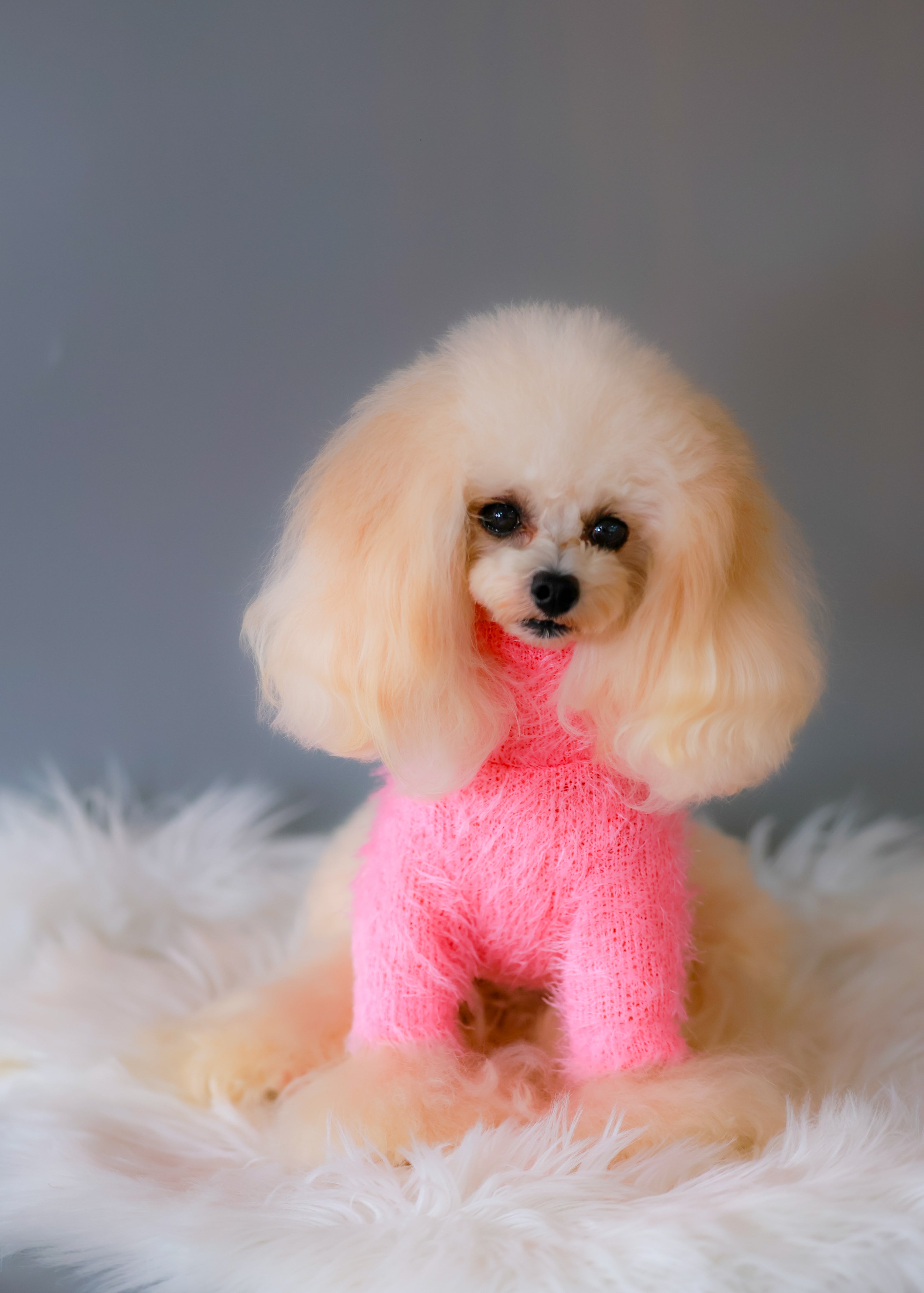 Shaggy High-Neck Knit