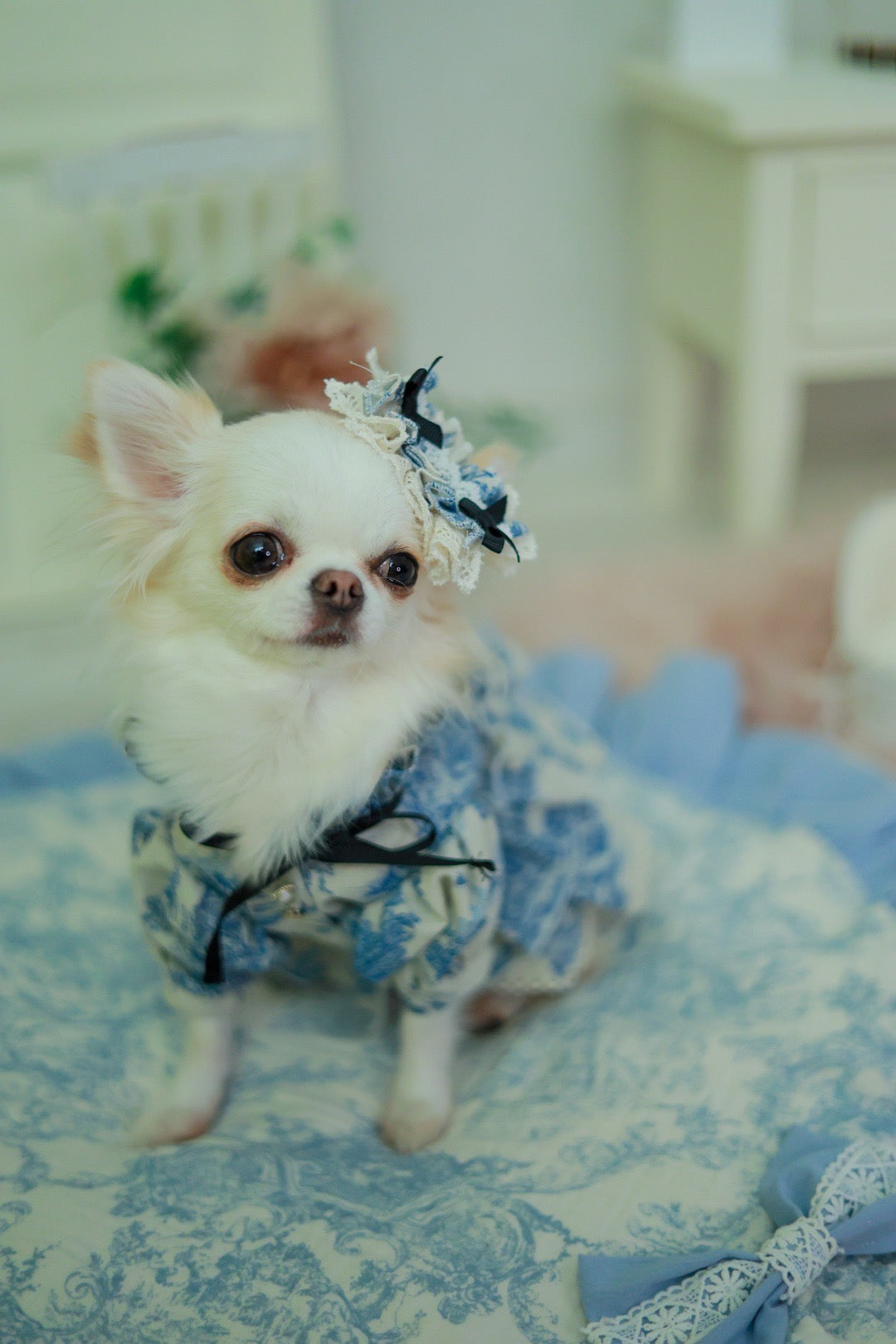 Toile de Jouy Barrette