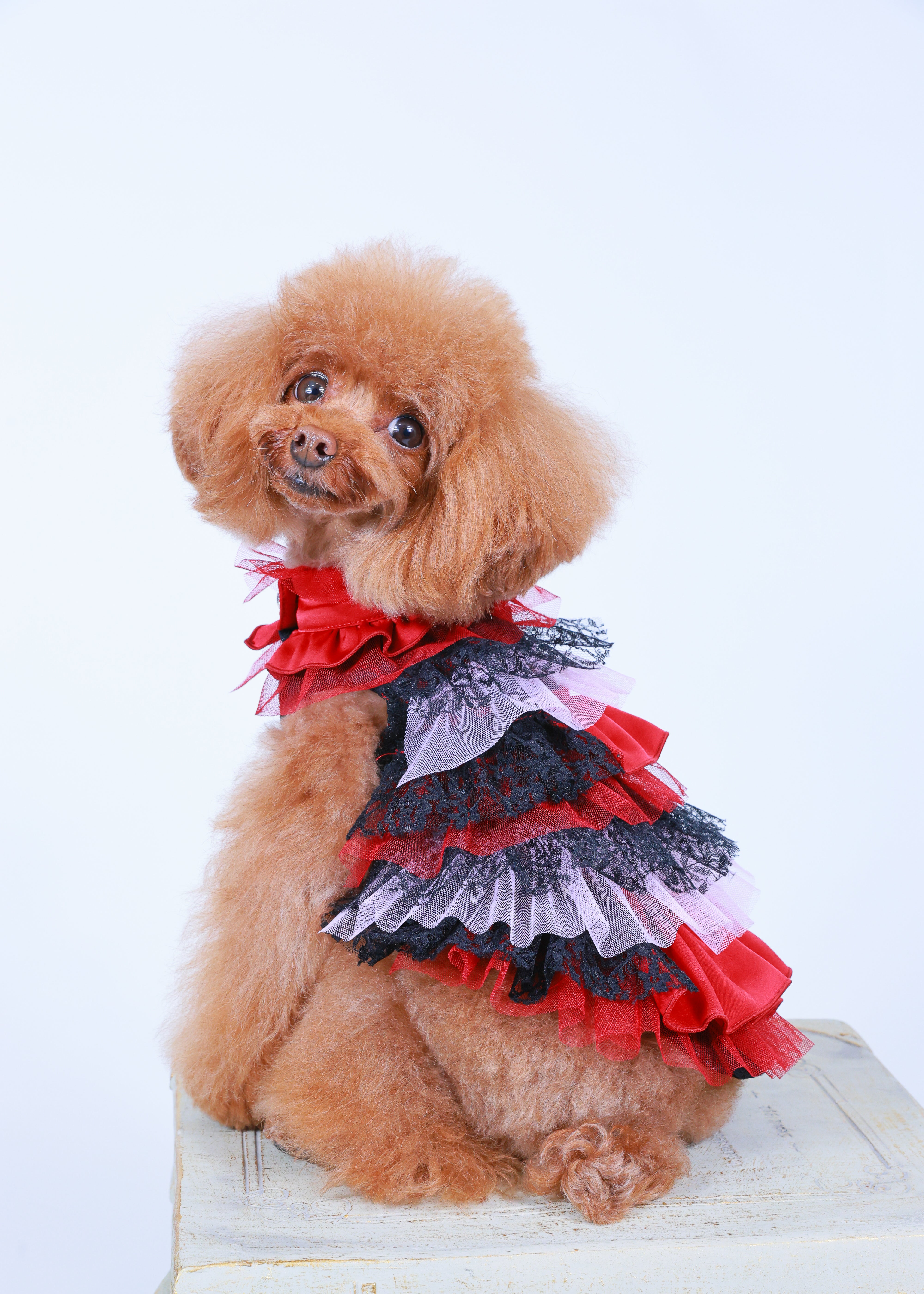 RANDOM RUFFLE DRESS　RED