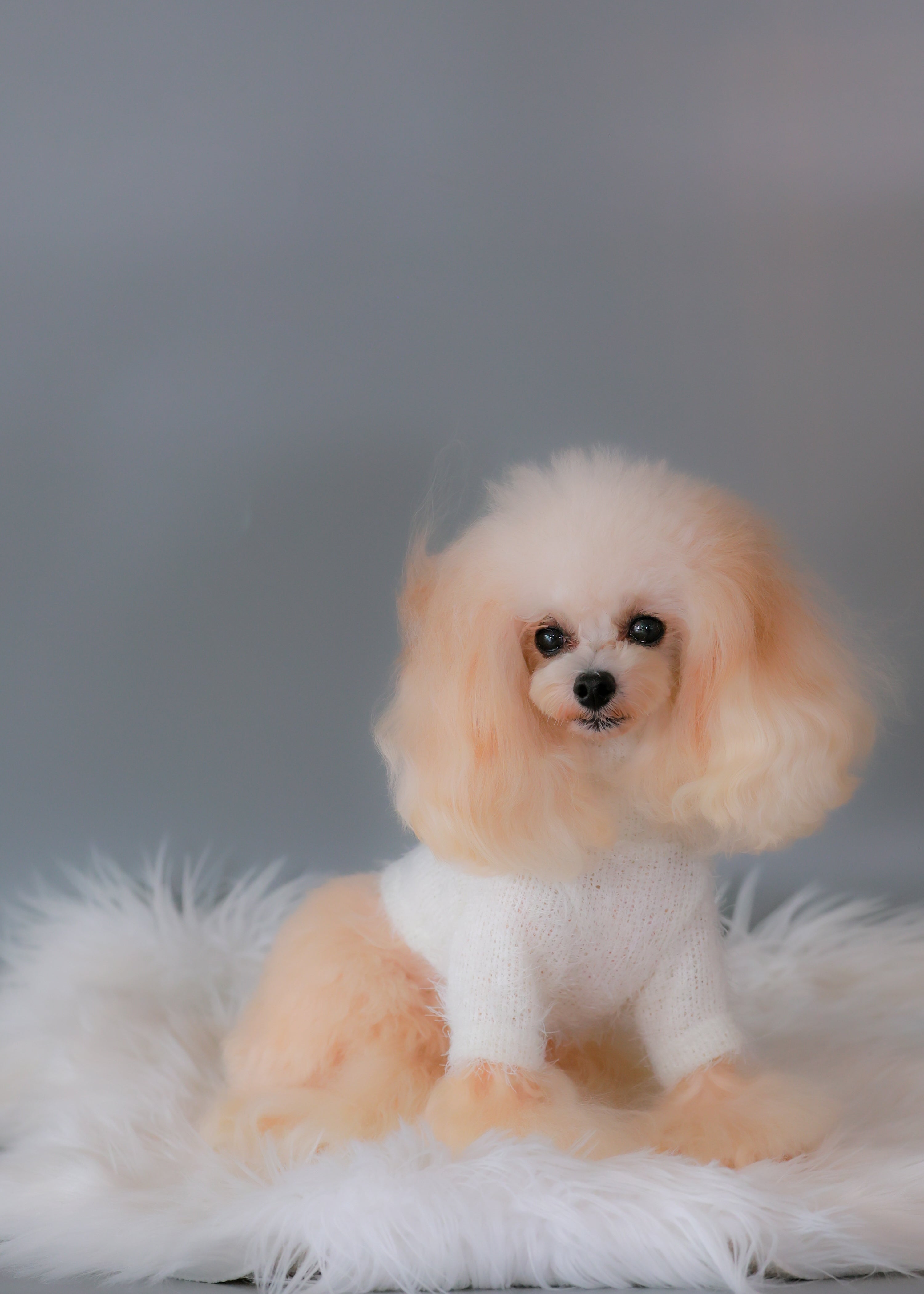 Shaggy High-Neck Knit